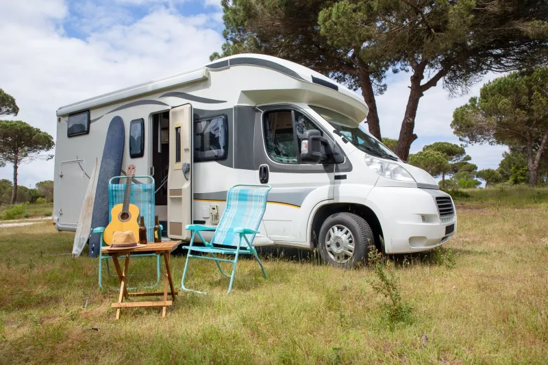 Paws on the Road: Your Complete Playbook for RV Camping With Pets